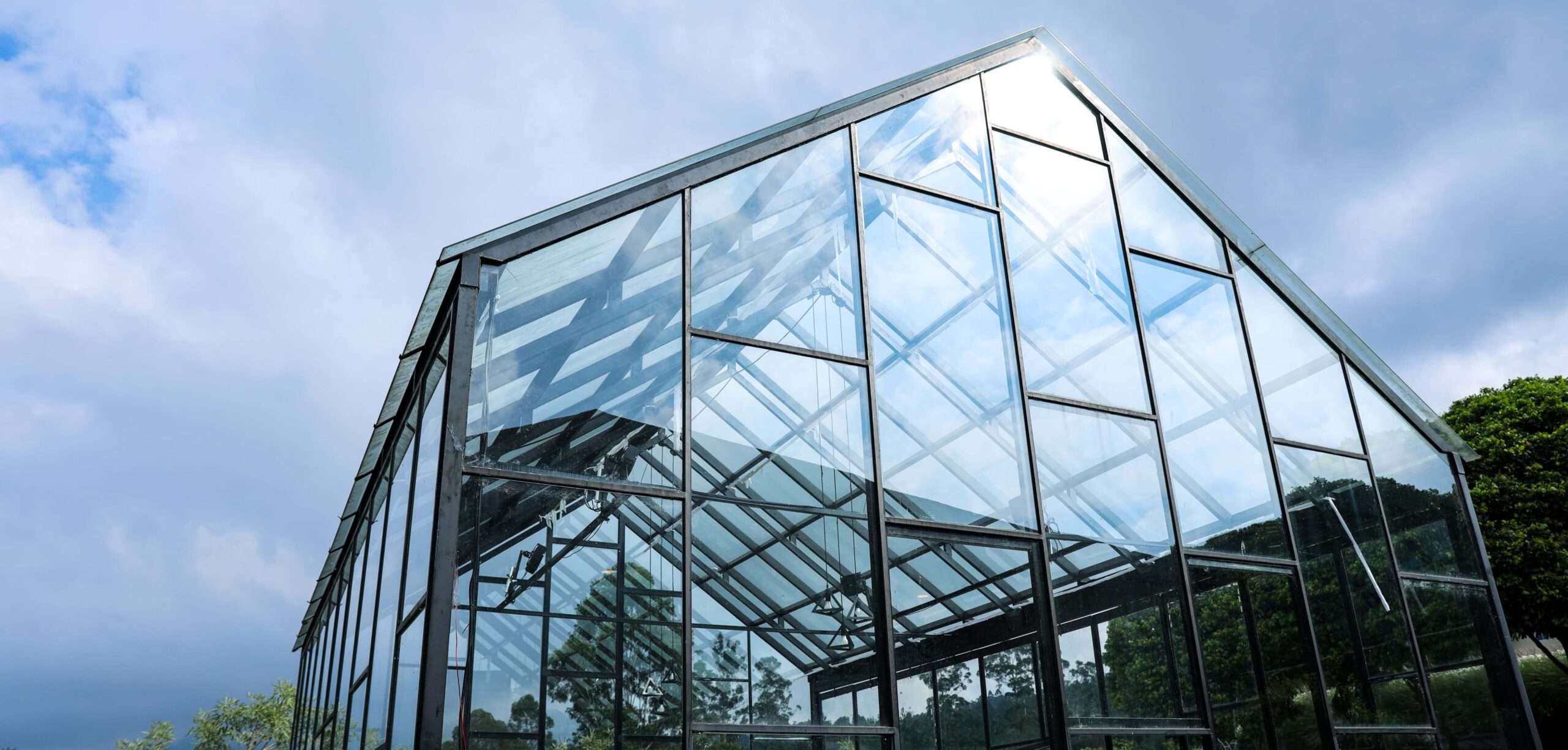 Large Greenhouse Replacement Panes